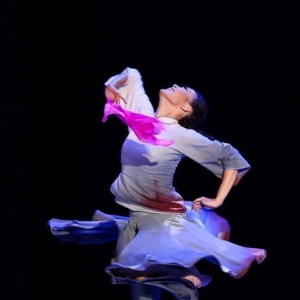 【每日一舞】北京舞蹈学院女子当代独舞《雏菊》生如夏花！
