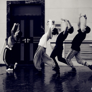2015中国舞蹈十二天 舞剧《花生》“打头阵”