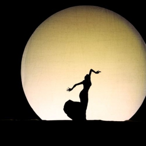 杨丽萍经典舞蹈作品，每看一遍都是享受！（视频）