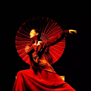 灵魂舞者：沈培艺