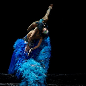 一组精美的舞蹈图片，美级了