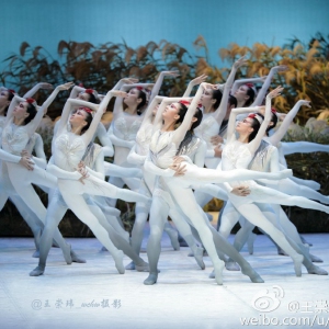中央芭蕾舞团大型原创芭蕾舞剧《鹤魂》全球首演剧照