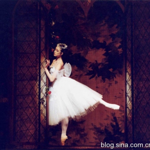 中央芭蕾舞团“第二届中国国际芭蕾演出季”演出预告